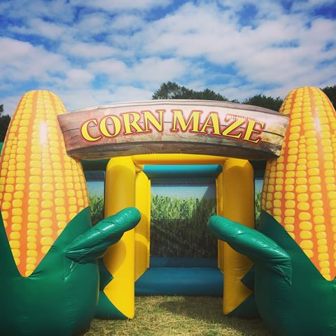Corn Maze 1